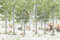 A.S. Création Fototapete Wildlife 3,75 m x 2,50 m - WALLLOVE Wald-Tapete Kinderzimmer in Grün, Braun, Beige inkl. Kleister - DD129593