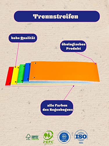Original BIGO 100-Pack Karton-Trennstreifen, 100 Stück, 5 Farben: 20 Stück je Farbe, 240 x 105 mm, gelocht, 250g/m², zum Sortieren und Trennen von Dokumenten bis DIN-A4-Format