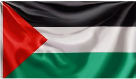 Grand drapeau palestinien avec œillets en laiton pour l'extérieur, couleurs vives et résistant à la décoloration