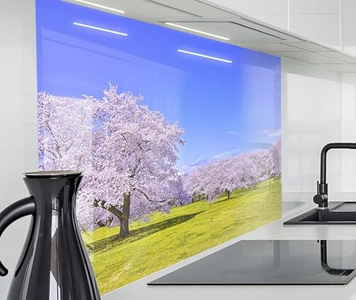 timalo Spritzschutz Wand für Herd, Küche Küchenrückwand Glasoptik | Acryl Glas 2mm | Glasrückwand Acrylglas Wandpaneele Rückwandschutz Platte | 120x60cm Landschaft Bäume