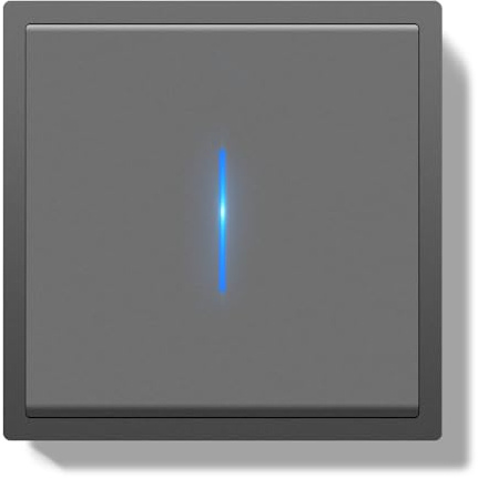 BSEEDLIFE Interrupteur Mural,1 Gang 1 Voie 80 * 80mm,Interrupteur avec Cadre PC et Indicateurs LED,Installation Facile,Gris