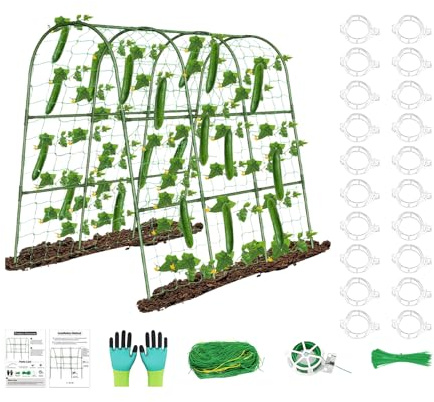 Gurken Spalier | Hochbeet Gemüse Rankhilfe | Wetterfeste Stabile Rankbogen Für Tomaten Trauben Erbsen Und Balkon Garten