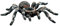 Bullyland 68457 - Spielfigur Weißknie Vogelspinne, ca. 8,5 cm große Tierfigur, detailgetreu, PVC-frei, ideal als kleines Geschenk für Kinder ab 3 Jahren