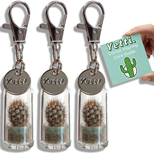 Yetti Mini Cactus Gift Keyring - Living Plant Keychain (Tiger - Set of 3) - Tiny Plant Gift for Cactus Lovers