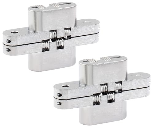 Rierdge Bisagra oculta de 60 mm, acero inoxidable, 2 unidades | Bisagras cruzadas invisibles de 180 grados, para puerta de armario de cocina, sin marco, ocultas, con tornillos
