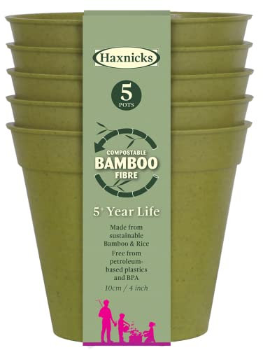 Haxnicks Pot160101 Lot de 5 Pots de Fleurs durables en Fibre de Bambou pour intérieur et extérieur 7,6 cm de diamètre Vert Sauge