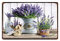 Blechschild für Garten, Lavendel, Vintage-Stil, Metallschild, Eisenmalerei für drinnen und draußen, Zuhause, Bar, Kaffee, Küche, Wanddekoration, 20,3 x 30,5 cm
