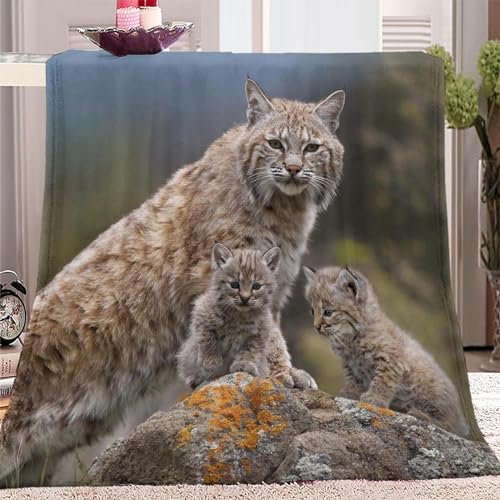 Quixora Kuscheldecke Tier Luchs Flauschig Fleecedecke als Sofadecke Couchdecke Wohndecke Weiche & Warme Sofaüberwurf Decke 150 x 200 cm