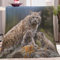 Quixora Kuscheldecke Tier Luchs Flauschig Fleecedecke als Sofadecke Couchdecke Wohndecke Weiche & Warme Sofaüberwurf Decke 150 x 200 cm