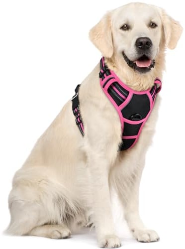 rabbitgoo Dog Harness Large Dog, No Pull Vest with Front Clip & Handle | No Choke, Adjustable, Breathable Padded, 2 Lead Rings, Reflective, Easy Control for Walking Training, XL, Black & Rose