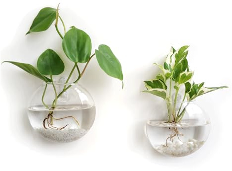 Mkono Wall Hanging Glass Terrariums Planter Oblate Flower Vase for Hydroponics Plants, Bathroom, Home Office Living Room Decor, Set of 2（Plants not Included）