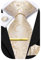 Hi-Tie Herren-Krawatte und Einstecktuch, goldfarben, Manschettenknöpfe, formelle gewebte Seide, Krawatten-Set, Hochzeit, Party, Champagnerblüte, M
