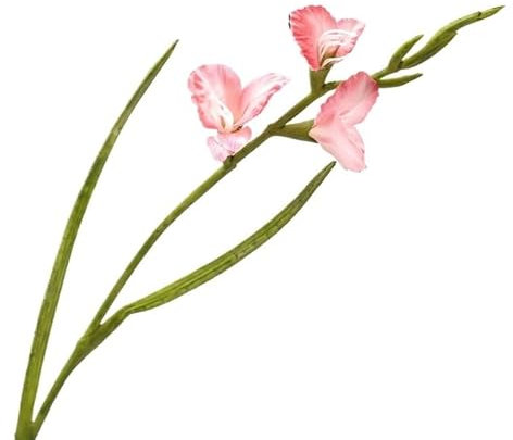 HXSCOO Simulation Einzelne Gladiole Wind Hause Dekoration Simulation Blume Hotel Rezeption Dekoration Schießen Requisiten Blume(pink)