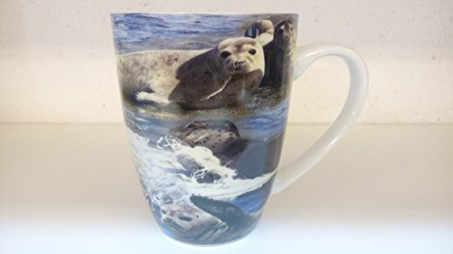 DELTA Fotobecher Robbe am Meer Moin Innen Ebbe und Flut