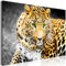 decomonkey Mega XXXL Bilder Tiere 5 Teilig Wandbild Groß Leinwandbild Selbstmontage DIY Einteiliger XXL Kunstdruck zum aufhängen Deko Wohnzimmer Schlafzimmer Büro Wanddeko Leinwand Wall Poster