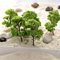 10Pcs Model Trees, Model Miniature Plastic Trees, Landscape Architecture Train Railways Trees for Houses, Desks, Living Rooms, Kitchens(4cm)