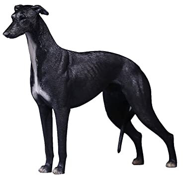 QQYDZSW Skulptur Statue Figur Tier Dekor Statue Ornamente Gree Hund Statue Skulptur, Simulation Harz Windhund Modell Home Dekoration Sammlung Ornamente 14X5,5X17,5 cm