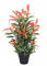 Lacers SMARAGDLINE Pflegeleichte künstliche Glanzmispel –Photinia 80cm, realistische Optik, Dekoration für Wohnzimmer, Balkon und Büroräume- echtwirkende Blätter & Blüten ohne spezielle Pflege