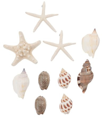 SOLUSTRE 10pcs Ocean Fridge Magnets Seashell Nautical Refrigerator Magnet Stickers Smooth Rounded Surface for Metal Surfaces