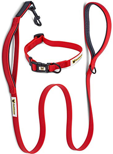 Hundefreund Hundeleine und Halsband im Set | PVC besonders Weich und Stabil | Rote Leine (1,5 m) mit Hundehalsband verstellbar (28-46 cm)