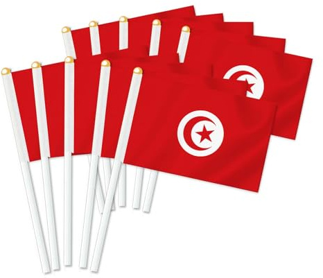 25 Stück Tunesien Handheld Flagge, Dekor Hand gehalten Hold Fahne, Dekoration Banner hand Tunisia