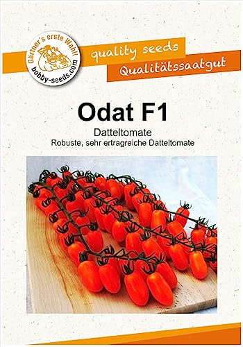 Tomatensamen Odat F1 Portion