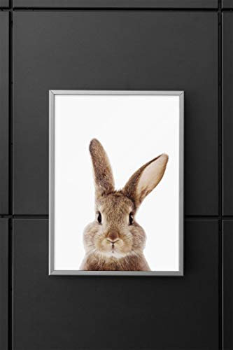 LS Bright Design Kinderzimmer Tiere Glänzend Drucke Poster und Kinder Wandbilder Kunst Babyzimmer Geschenke (Hochglanz-Finish A4 (210 x 297 mm), Hase)