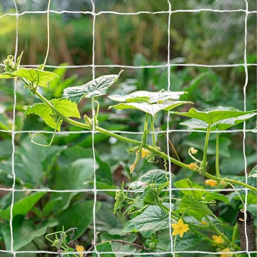 Tcamp Lot de 2 filets de treillis de jardin pour plantes (1,5 x 4,5 m, maille carrée de 8,9 cm en polyester