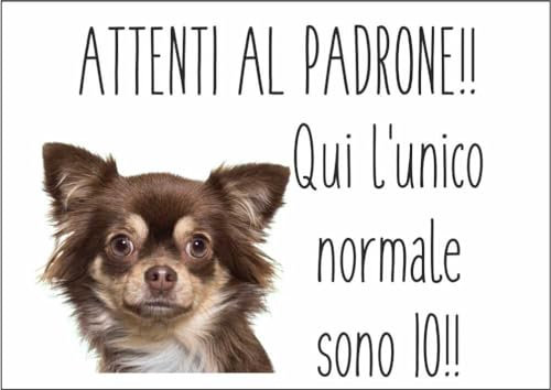 M-ITALY CARTELLO SEGNALETICO - CHIHUAHUA ATTENTI AL PADRONE - Adesivo Extra Resistente, Pannello in Forex, Pannello In Alluminio (10x15, Adesivo)