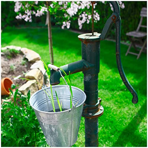 Wallario Glasbild Wasserquelle im Garten - 30 x 30 cm Wandbilder Glas in Premium-Qualität: Brillante Farben, freischwebende Optik