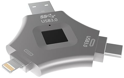 Clé USB déverrouillée par empreinte digitale, clé USB sécurisée protégée par mot de passe, clé USB, disque doigt I-N avec interface Type-c pour Android/iOS,128G