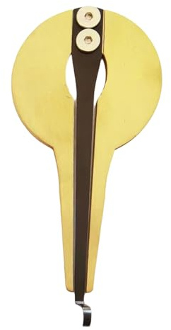 Goldene kreisförmige Mundharmonika, erstklassige Handwerkskunst, klarer Klang für leichte Metall Mundharmonika, kompakte Reisemundharmonika