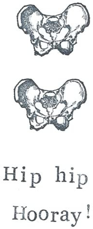 Hip Hip Hooray Notebook: - 110 Pages, In Lines, 6 x 9 Inches