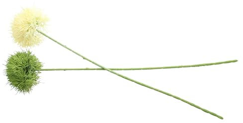 FRANK FLECHTWAREN Pflanze Kugelblume, 2er Set, Kunststoff Maße: ca. Länge 70 cm, vielseitig anwendbar
