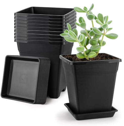 BTPLASTIK Quadratische Pflanztöpfe aus Kunststoff, moderner Blumentopf für Kinderzimmer, mit Ablaufloch und Untersetzer, Schwarz, 20 x 22 cm, 10 Stück