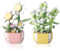 CYIOU 2 Stück Mini Blumen Bausteine Set Bonsai Bausteine Simulation Topf Pflanze Botanische Ziegel Spielzeug Klemmbausteine Blumen für Home Dekor Geschenke