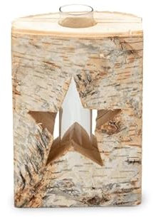 NaDeco Birkenstamm Vase mit Stern Motiv ca. 10x14cm Reagenzglashalter Holzvase mit Reagenzglas Reagenzglas Vase Holz Birkenholz Vase Naturvase Kleine Glasvase zur Tischdekoration