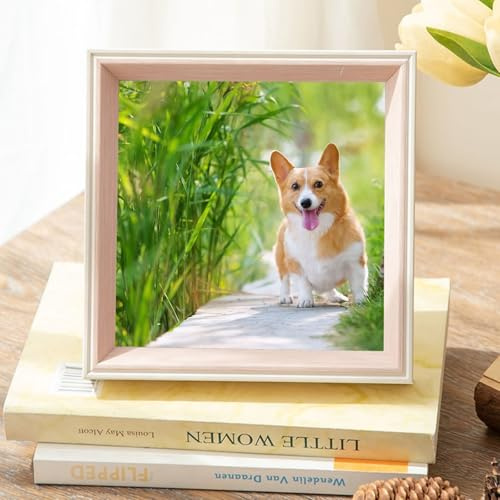 Daesar Bilderrahmen 30x30CM Rosa Weiß Einzeln, Fotorahmen MDF Quadratisch mit Glasscheibe Bilderrahmen Familie Personalisiert, 1 Stück