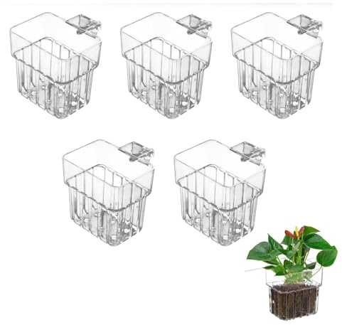 Molyorch 5 Pièces Pot de Plante Suspendu Transparent, Support Mural pour Hydroponie, pour Plantes Grasses, Aquarium et Balcon Pots, sans Perçage, Installation Facile