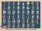 ÜNLCE WU USA Präsidenten-Poster für Kinder/Erwachsene, Heimdekoration, doppelseitig, laminiert, Präsidenten-Diagramm für die Schule, 45,7 x 61 cm, wasserdicht