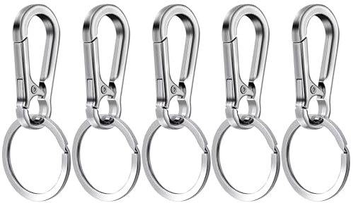 WOLMIK 5 Stück Karabiner Schlüsselanhänger, Karabinerhaken Klein Metall Schlüsselkarabiner, Schlüsselring mit Karabiner für Aufhängen im Rucksack, Autoschlüssel (Silber)