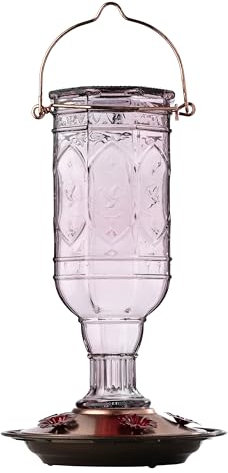 More Birds Amethyst Jewel Hummingbird Feeder, Glass Hummingbird Feeders for Outdoors, 5 Feeding Stations, 20 Ounces