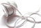 CaPiSo Kordel 10m x 6mm Drehkordel Dekoband Kordelband Schnur Kordelschnur (Weiss)