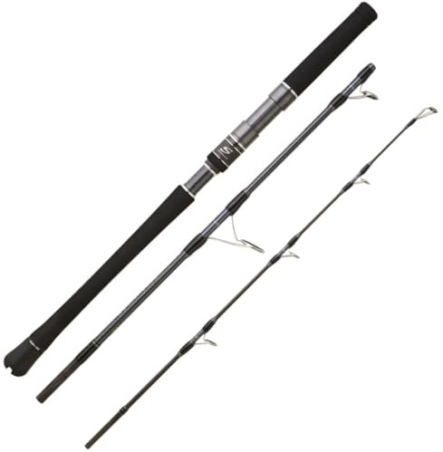Hearty Rise Skywalker Jigging Spin 1,63m 220g Rute - Reiserute zum Hochseeangeln, Meeresrute zum Jiggen, Jigrute