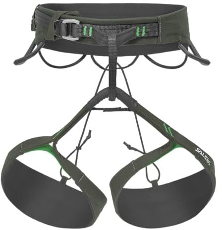 Salewa Agner Gurt Herren, Grün, M