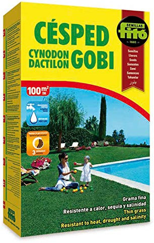 Semilla Cynodón Dactylon Gobi 1 kg