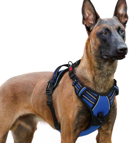 rabbitgoo Hundegeschirr Grosse Hunde, Verstellbare Geschirr Hund ohne Zug & Würgen, Anti Zug hundegeschirr mit Griff, weich Gepolsterte Reflektierende Brustgeschirr, Blau XL
