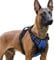 rabbitgoo Hundegeschirr Grosse Hunde, Verstellbare Geschirr Hund ohne Zug & Würgen, Anti Zug hundegeschirr mit Griff, weich Gepolsterte Reflektierende Brustgeschirr, Blau XL