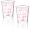 Yoiemivy 2 Stück Kokette Schleife Glasbecher Rosa Schleife Eiskaffeetassen 325 ml Ästhetische Tassen Kokette Stuff Niedliche Trinkgläser für Frauen Schwester Party