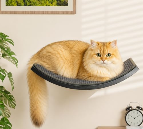 Katzen Kletterwand, Gebogenes Katzen-Wandregal mit Sisal-Kratzmatte, Wandmontiertes Massivholz Katze kletternde Regal für Klettern/Spielen/Schlafen